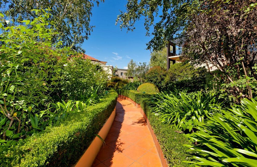 Aac Apartments - Griffin Canberra Pokoj fotografie